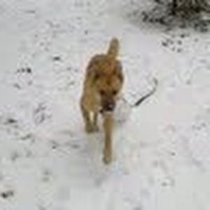 Meet your Posher, Audrey